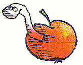 3-6-Apfel.jpg